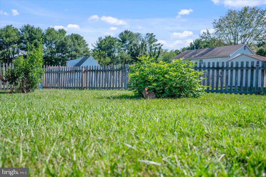 10624 HEATHER GREENS CIR, SPOTSYLVANIA, Virginia 22553, 3 Bedrooms Bedrooms, ,2 BathroomsBathrooms,Residential,10624 HEATHER GREENS CIR,VASP2042854 MLS # VASP2042854 10624 HEATHER GREENS CIR, SPOTSYLVANIA, Virginia 22553, 3 Bedrooms Bedrooms, ,2 BathroomsBathrooms,Residential,10624 HEATHER GREENS CIR,VASP2042854 MLS # VASP2042854