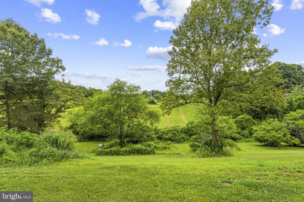 13166 RIXEYVILLE RD, CULPEPER, Virginia 22701, 3 Bedrooms Bedrooms, ,1 BathroomBathrooms,Residential,13166 RIXEYVILLE RD,VACU2014050 MLS # VACU2014050 13166 RIXEYVILLE RD, CULPEPER, Virginia 22701, 3 Bedrooms Bedrooms, ,1 BathroomBathrooms,Residential,13166 RIXEYVILLE RD,VACU2014050 MLS # VACU2014050