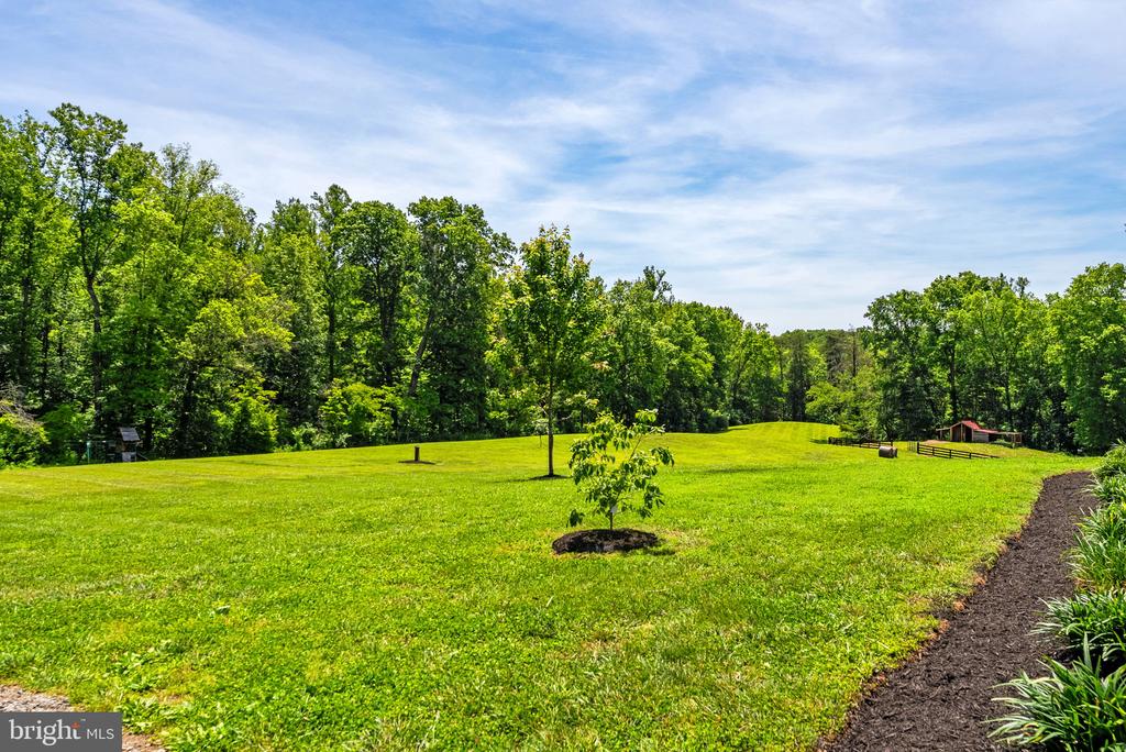11192 RIXEYVILLE RD, CULPEPER, Virginia 22701, 4 Bedrooms Bedrooms, ,2 BathroomsBathrooms,Residential,11192 RIXEYVILLE RD,VACU2014068 MLS # VACU2014068 11192 RIXEYVILLE RD, CULPEPER, Virginia 22701, 4 Bedrooms Bedrooms, ,2 BathroomsBathrooms,Residential,11192 RIXEYVILLE RD,VACU2014068 MLS # VACU2014068
