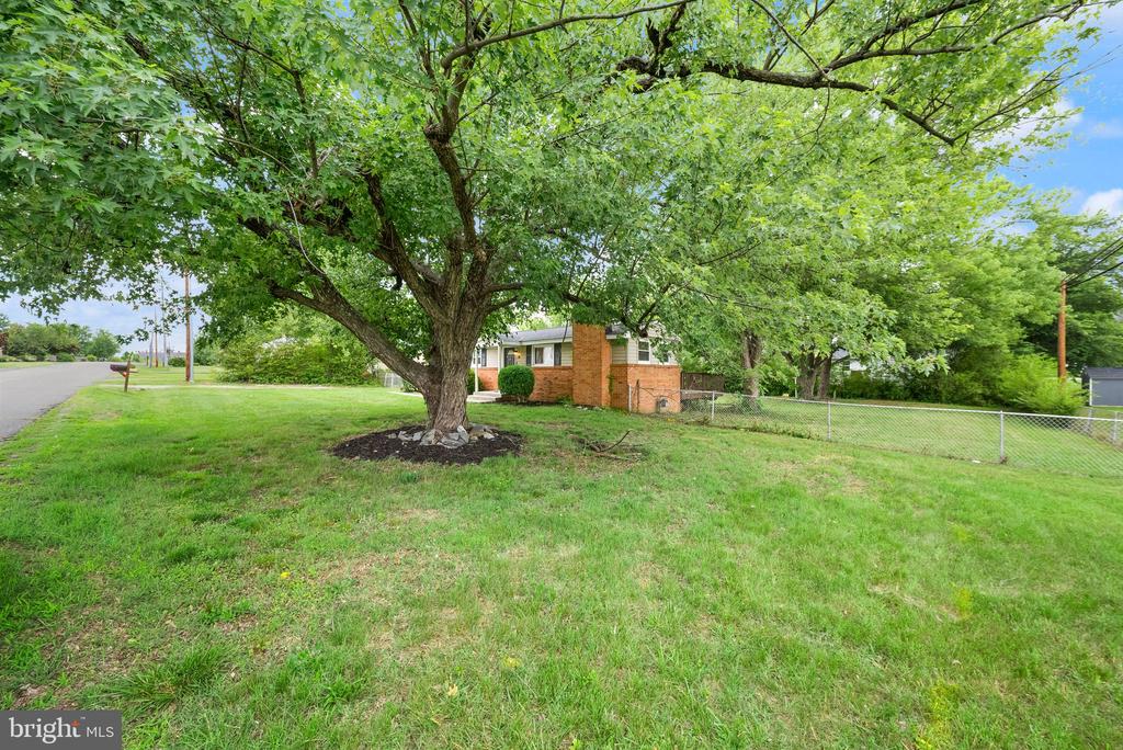 123 SOUTHGATE AVE, FREDERICKSBURG, Virginia 22408, 3 Bedrooms Bedrooms, ,1 BathroomBathrooms,Residential,123 SOUTHGATE AVE,VASP2042890 MLS # VASP2042890 123 SOUTHGATE AVE, FREDERICKSBURG, Virginia 22408, 3 Bedrooms Bedrooms, ,1 BathroomBathrooms,Residential,123 SOUTHGATE AVE,VASP2042890 MLS # VASP2042890