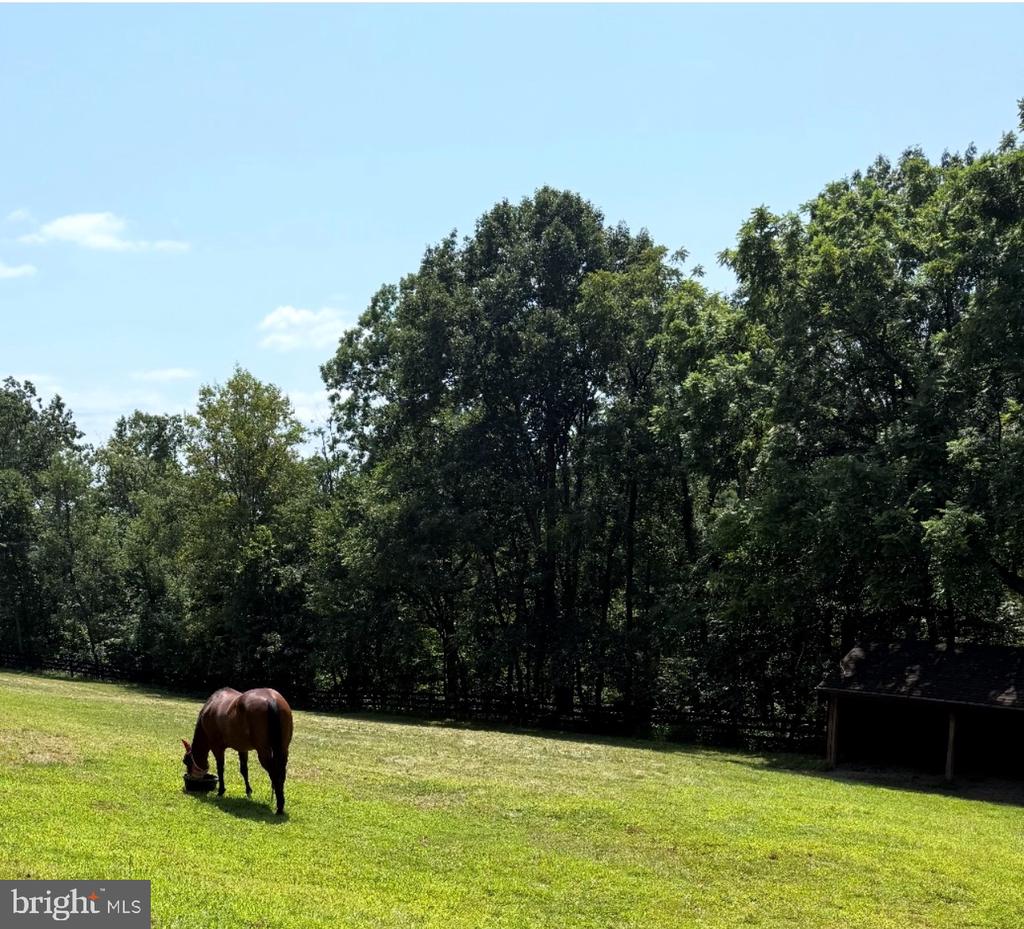 5221 MOUNTAIN VIEW DR, BROAD RUN, Virginia 20137, 3 Bedrooms Bedrooms, ,2 BathroomsBathrooms,Residential,5221 MOUNTAIN VIEW DR,VAFQ2022638 MLS # VAFQ2022638 5221 MOUNTAIN VIEW DR, BROAD RUN, Virginia 20137, 3 Bedrooms Bedrooms, ,2 BathroomsBathrooms,Residential,5221 MOUNTAIN VIEW DR,VAFQ2022638 MLS # VAFQ2022638