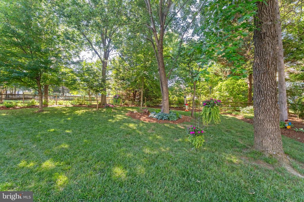 4104 AMELIA DR, FREDERICKSBURG, Virginia 22408, 4 Bedrooms Bedrooms, ,2 BathroomsBathrooms,Residential,4104 AMELIA DR,VASP2042970 MLS # VASP2042970 4104 AMELIA DR, FREDERICKSBURG, Virginia 22408, 4 Bedrooms Bedrooms, ,2 BathroomsBathrooms,Residential,4104 AMELIA DR,VASP2042970 MLS # VASP2042970