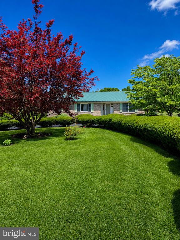 368 OLD FARM RD, LURAY, Virginia 22835, 3 Bedrooms Bedrooms, ,2 BathroomsBathrooms,Residential,368 OLD FARM RD,VAPA2006554 MLS # VAPA2006554