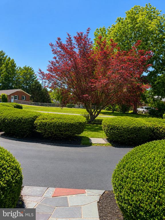 368 OLD FARM RD, LURAY, Virginia 22835, 3 Bedrooms Bedrooms, ,2 BathroomsBathrooms,Residential,368 OLD FARM RD,VAPA2006554 MLS # VAPA2006554