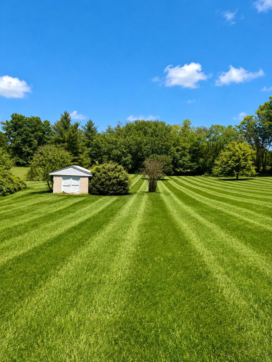 368 OLD FARM RD, LURAY, Virginia 22835, 3 Bedrooms Bedrooms, ,2 BathroomsBathrooms,Residential,368 OLD FARM RD,VAPA2006554 MLS # VAPA2006554