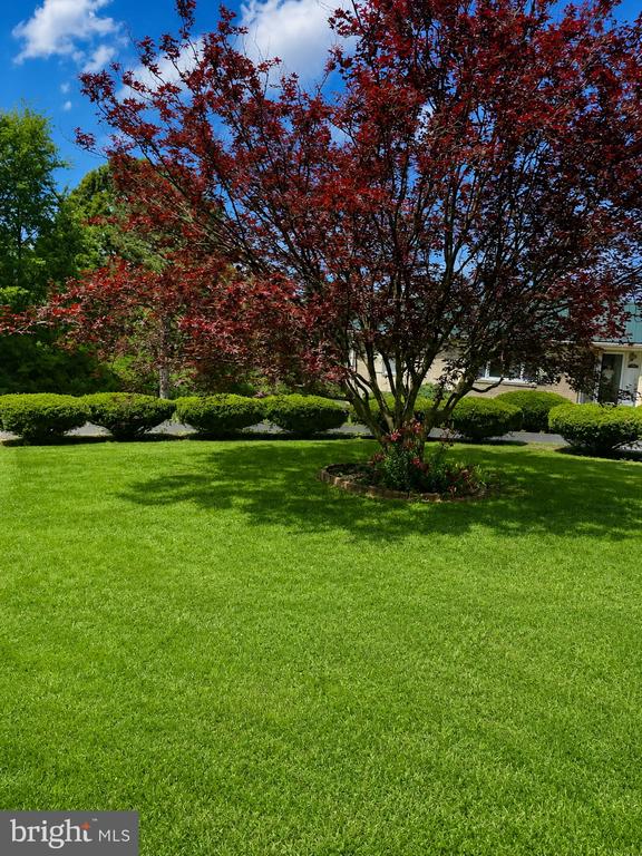368 OLD FARM RD, LURAY, Virginia 22835, 3 Bedrooms Bedrooms, ,2 BathroomsBathrooms,Residential,368 OLD FARM RD,VAPA2006554 MLS # VAPA2006554
