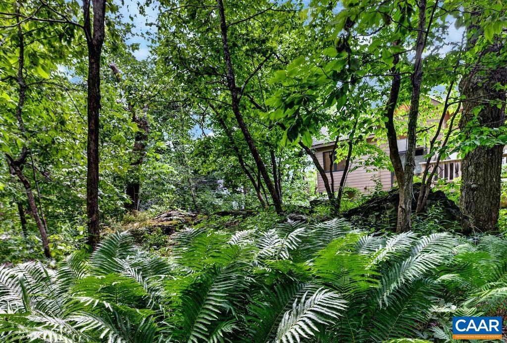 82 WARRIOR RUN, ROSELAND, Virginia 22967, 3 Bedrooms Bedrooms, ,2 BathroomsBathrooms,Residential,82 WARRIOR RUN,678408 MLS # 678408 82 WARRIOR RUN, ROSELAND, Virginia 22967, 3 Bedrooms Bedrooms, ,2 BathroomsBathrooms,Residential,82 WARRIOR RUN,678408 MLS # 678408