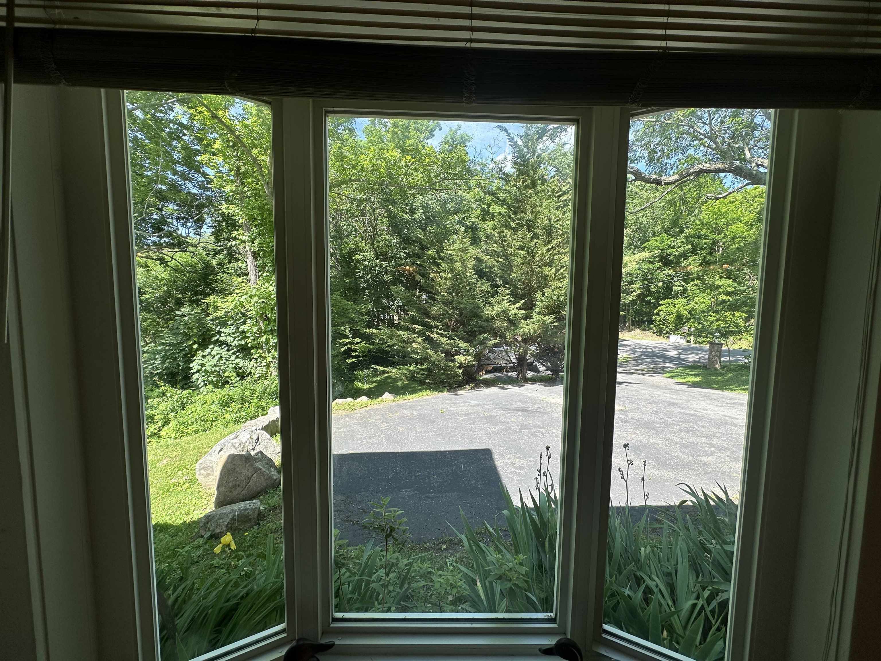 278 PAUL SIPLE DR, HOT SPRINGS, Virginia 24445, 5 Bedrooms Bedrooms, ,3 BathroomsBathrooms,Residential,Grand View,278 PAUL SIPLE DR,678635 MLS # 678635 278 PAUL SIPLE DR, HOT SPRINGS, Virginia 24445, 5 Bedrooms Bedrooms, ,3 BathroomsBathrooms,Residential,Grand View,278 PAUL SIPLE DR,678635 MLS # 678635