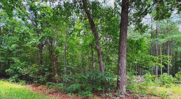 GOVERNOR ALMOND RD, LOCUST GROVE, Virginia 22508, ,Land,GOVERNOR ALMOND RD,VAOR2014524 MLS # VAOR2014524