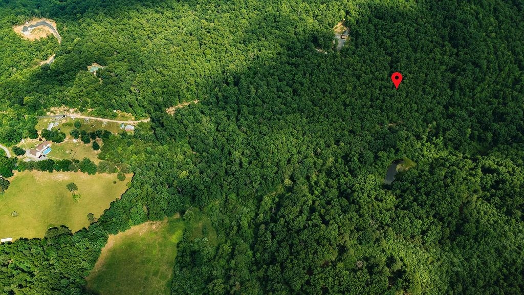 TBD CALF MOUNTAIN RD, WAYNESBORO, Virginia 22980, ,Land,TBD CALF MOUNTAIN RD,678655 MLS # 678655