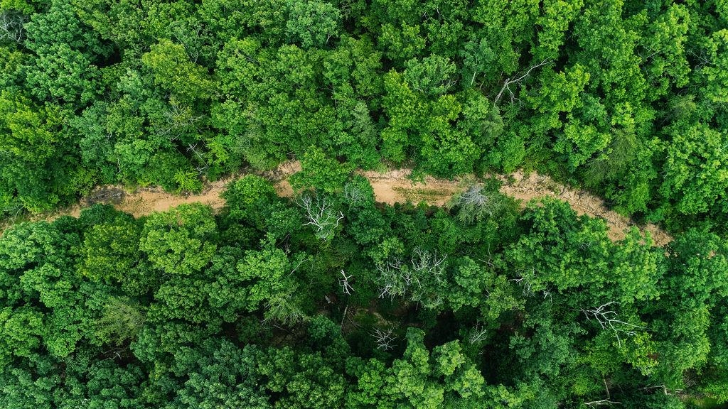 TBD CALF MOUNTAIN RD, WAYNESBORO, Virginia 22980, ,Land,TBD CALF MOUNTAIN RD,678655 MLS # 678655
