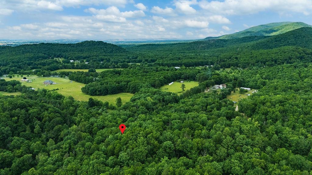 TBD CALF MOUNTAIN RD, WAYNESBORO, Virginia 22980, ,Land,TBD CALF MOUNTAIN RD,678655 MLS # 678655