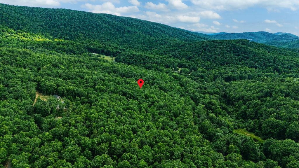 TBD CALF MOUNTAIN RD, WAYNESBORO, Virginia 22980, ,Land,TBD CALF MOUNTAIN RD,678655 MLS # 678655