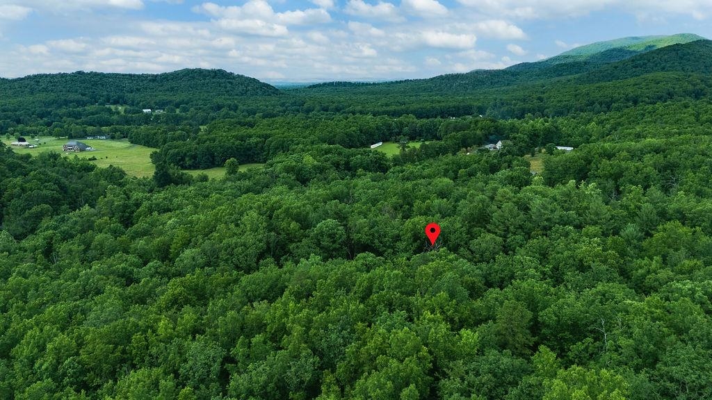 TBD CALF MOUNTAIN RD, WAYNESBORO, Virginia 22980, ,Land,TBD CALF MOUNTAIN RD,678655 MLS # 678655
