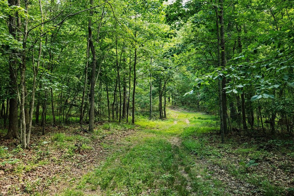 TBD CALF MOUNTAIN RD, WAYNESBORO, Virginia 22980, ,Land,TBD CALF MOUNTAIN RD,678655 MLS # 678655