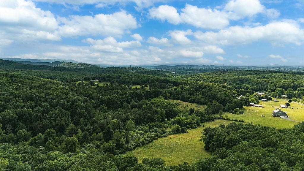 TBD CALF MOUNTAIN RD, WAYNESBORO, Virginia 22980, ,Land,TBD CALF MOUNTAIN RD,678655 MLS # 678655