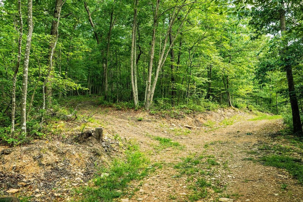 TBD CALF MOUNTAIN RD, WAYNESBORO, Virginia 22980, ,Land,TBD CALF MOUNTAIN RD,678655 MLS # 678655