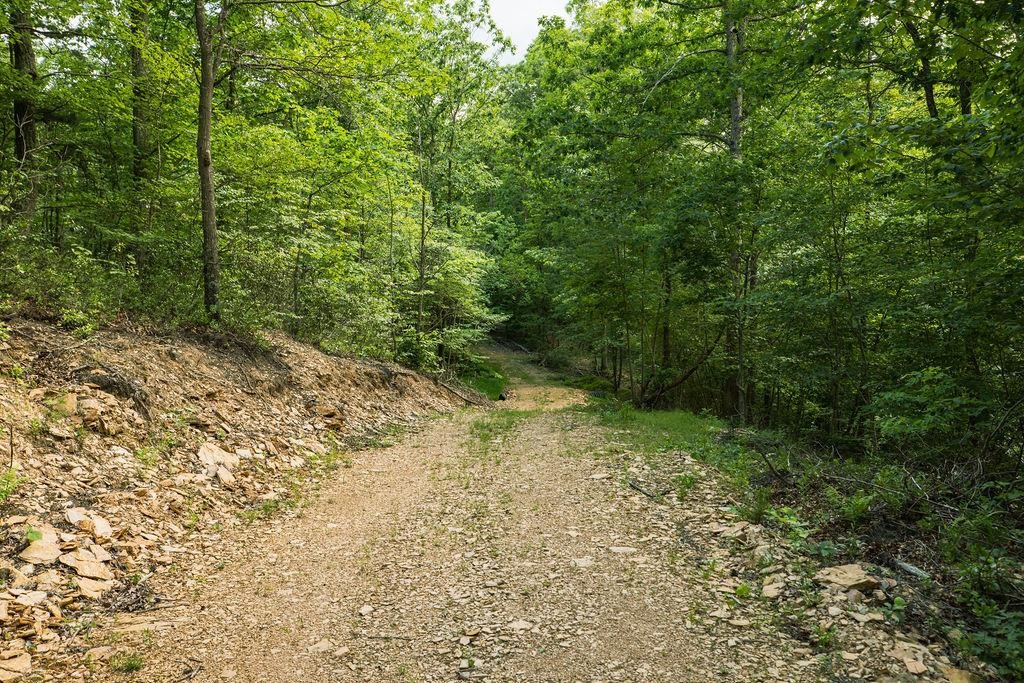 TBD CALF MOUNTAIN RD, WAYNESBORO, Virginia 22980, ,Land,TBD CALF MOUNTAIN RD,678655 MLS # 678655