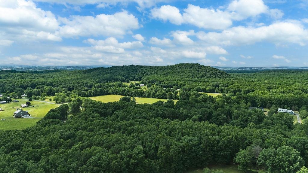 TBD CALF MOUNTAIN RD, WAYNESBORO, Virginia 22980, ,Land,TBD CALF MOUNTAIN RD,678655 MLS # 678655