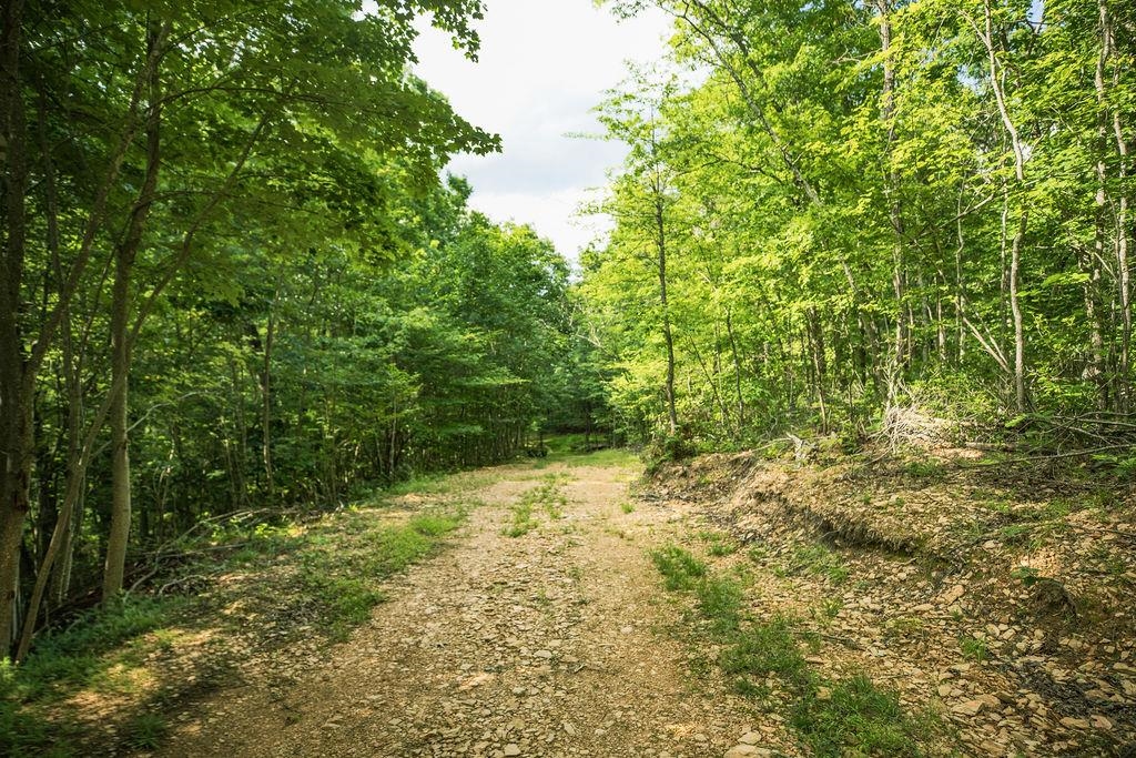 TBD CALF MOUNTAIN RD, WAYNESBORO, Virginia 22980, ,Land,TBD CALF MOUNTAIN RD,678655 MLS # 678655
