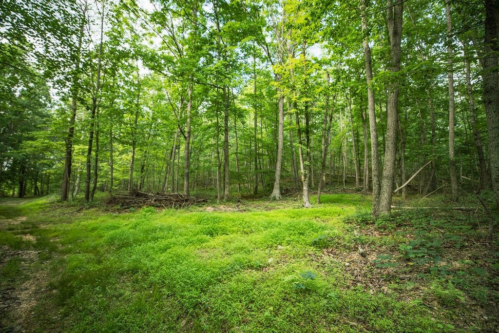 TBD CALF MOUNTAIN RD, WAYNESBORO, Virginia 22980, ,Land,TBD CALF MOUNTAIN RD,678655 MLS # 678655