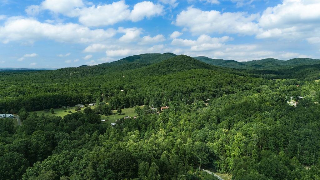 TBD CALF MOUNTAIN RD, WAYNESBORO, Virginia 22980, ,Land,TBD CALF MOUNTAIN RD,678655 MLS # 678655