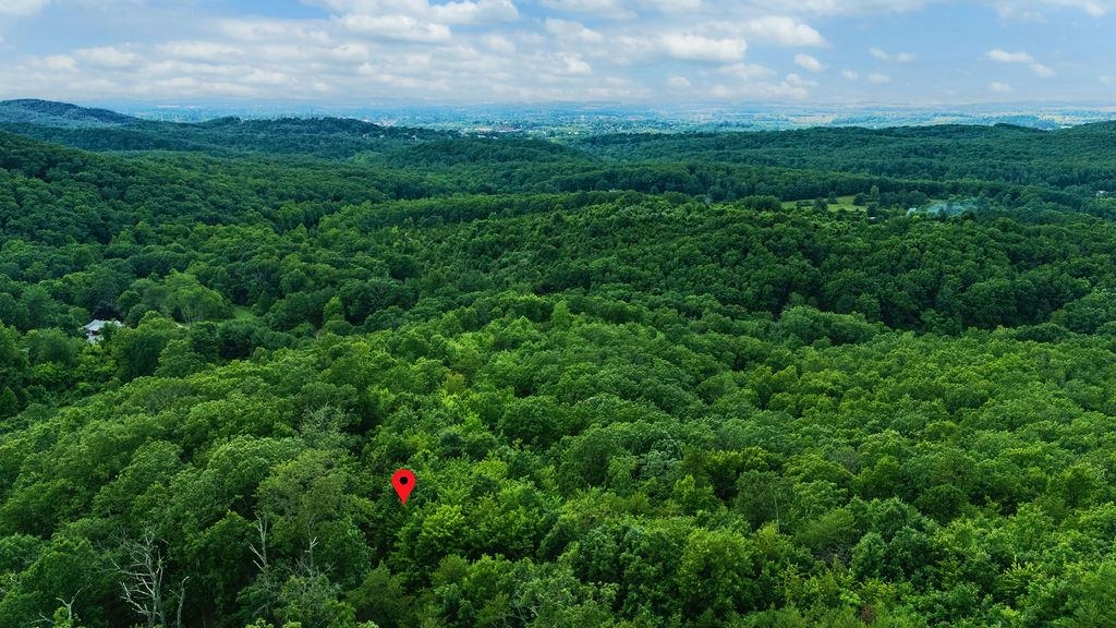 TBD CALF MOUNTAIN RD, WAYNESBORO, Virginia 22980, ,Land,TBD CALF MOUNTAIN RD,678655 MLS # 678655