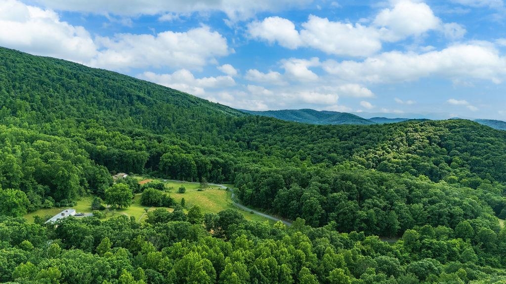 TBD CALF MOUNTAIN RD, WAYNESBORO, Virginia 22980, ,Land,TBD CALF MOUNTAIN RD,678655 MLS # 678655