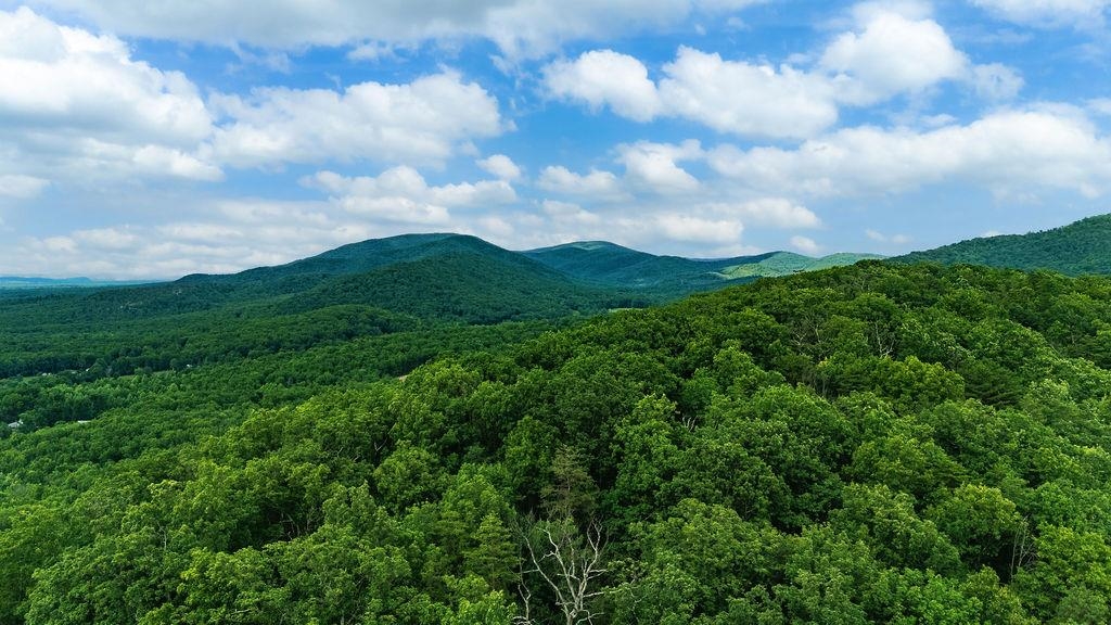 TBD CALF MOUNTAIN RD, WAYNESBORO, Virginia 22980, ,Land,TBD CALF MOUNTAIN RD,678655 MLS # 678655