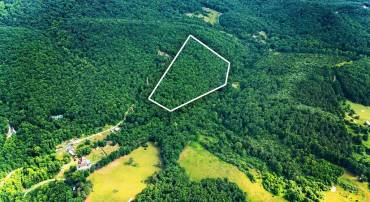 TBD CALF MOUNTAIN RD, WAYNESBORO, Virginia 22980, ,Land,TBD CALF MOUNTAIN RD,678655 MLS # 678655