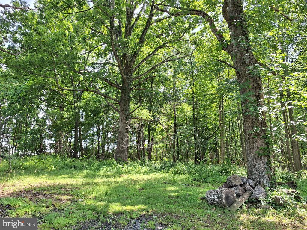 9499 OLD WATERLOO RD, WARRENTON, Virginia 20186, 4 Bedrooms Bedrooms, ,Residential,9499 OLD WATERLOO RD,VAFQ2022708 MLS # VAFQ2022708 9499 OLD WATERLOO RD, WARRENTON, Virginia 20186, 4 Bedrooms Bedrooms, ,Residential,9499 OLD WATERLOO RD,VAFQ2022708 MLS # VAFQ2022708
