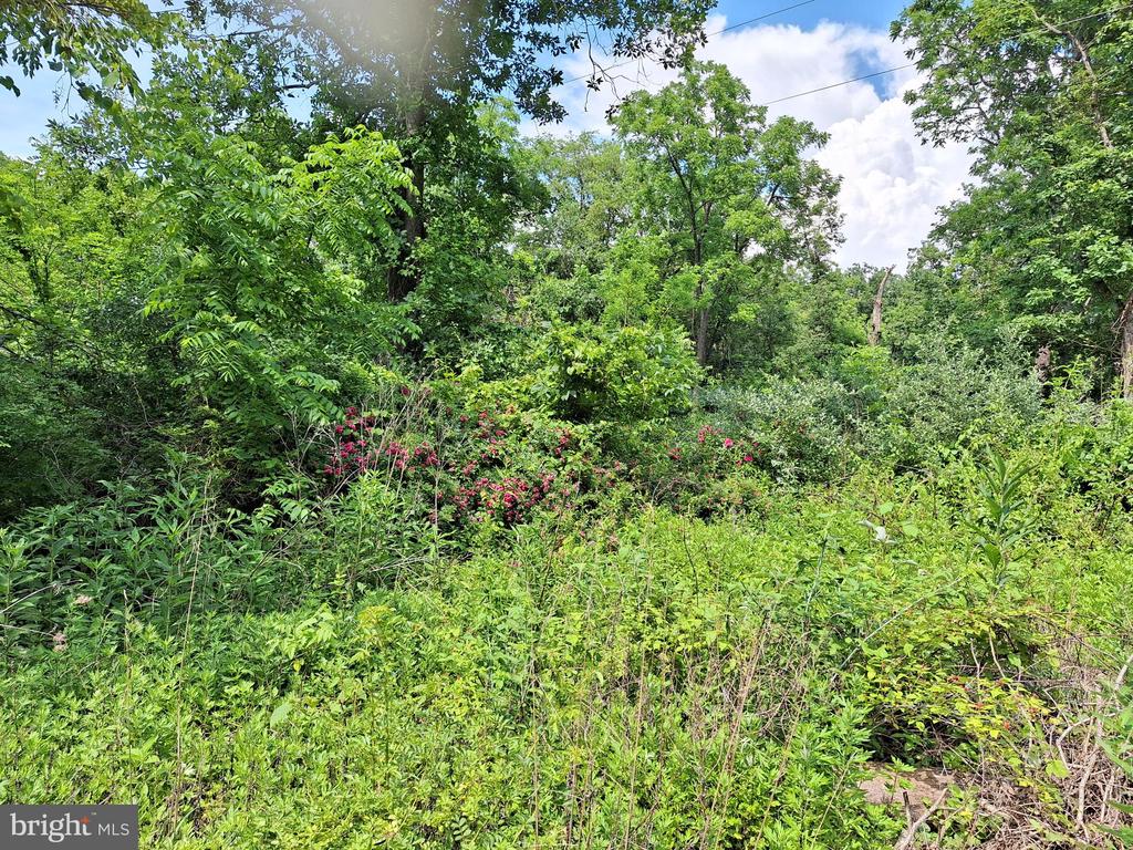 9499 OLD WATERLOO RD, WARRENTON, Virginia 20186, 4 Bedrooms Bedrooms, ,Residential,9499 OLD WATERLOO RD,VAFQ2022708 MLS # VAFQ2022708 9499 OLD WATERLOO RD, WARRENTON, Virginia 20186, 4 Bedrooms Bedrooms, ,Residential,9499 OLD WATERLOO RD,VAFQ2022708 MLS # VAFQ2022708
