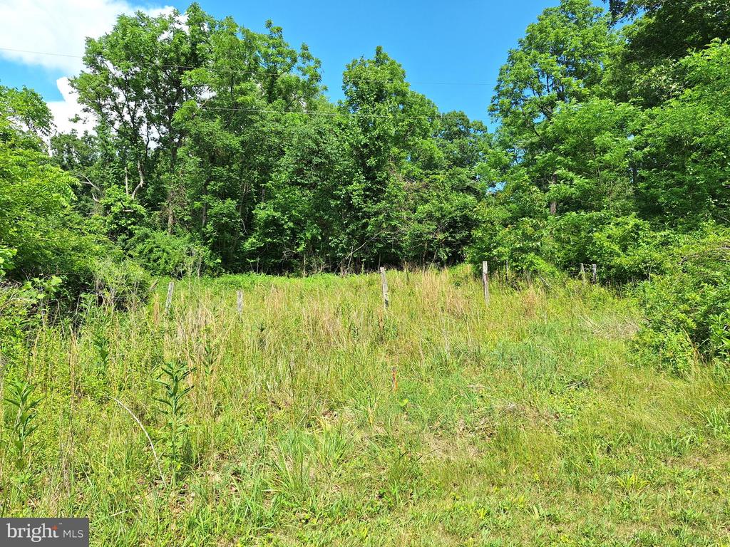 9499 OLD WATERLOO RD, WARRENTON, Virginia 20186, 4 Bedrooms Bedrooms, ,Residential,9499 OLD WATERLOO RD,VAFQ2022708 MLS # VAFQ2022708 9499 OLD WATERLOO RD, WARRENTON, Virginia 20186, 4 Bedrooms Bedrooms, ,Residential,9499 OLD WATERLOO RD,VAFQ2022708 MLS # VAFQ2022708
