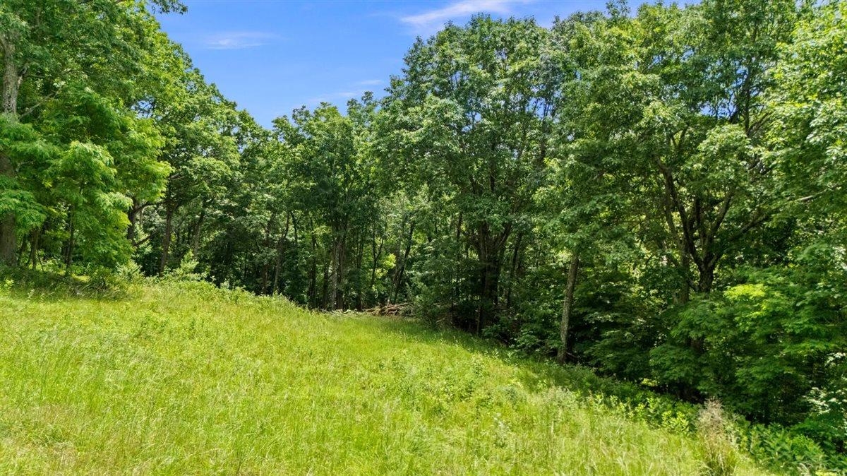 Lot 19, 20, 21 HIDDEN HILL RD, STANLEY, Virginia 22851, ,Land,Lot 19, 20, 21 HIDDEN HILL RD,678673 MLS # 678673