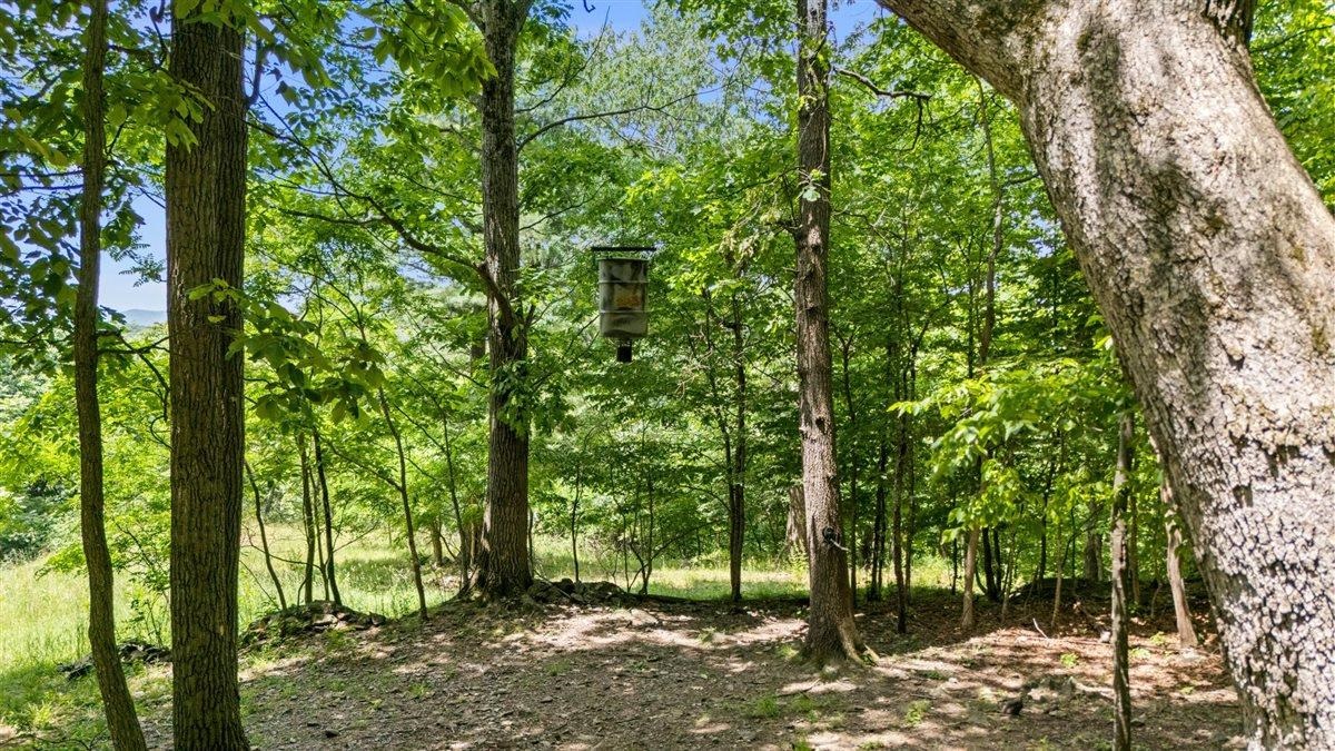 Lot 19, 20, 21 HIDDEN HILL RD, STANLEY, Virginia 22851, ,Land,Lot 19, 20, 21 HIDDEN HILL RD,678673 MLS # 678673