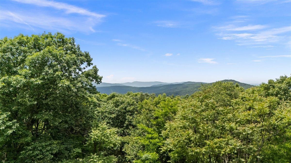 Drone photo taken~30ft up at home site.  Potential views without any clearing.