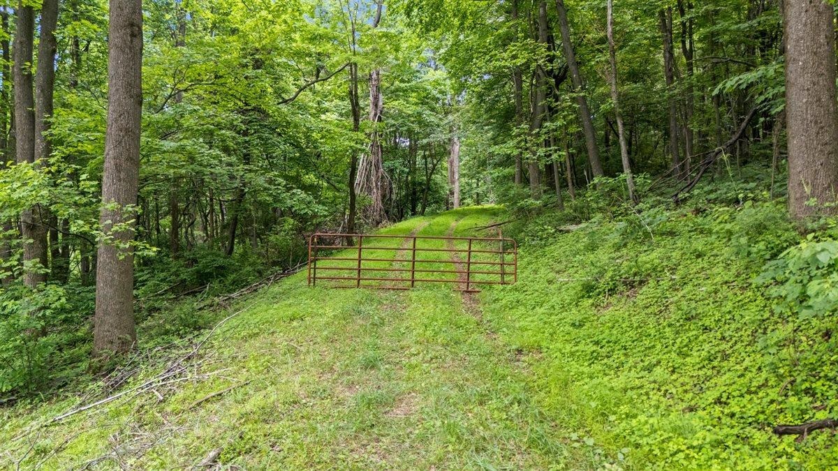 Lot 19, 20, 21 HIDDEN HILL RD, STANLEY, Virginia 22851, ,Land,Lot 19, 20, 21 HIDDEN HILL RD,678673 MLS # 678673