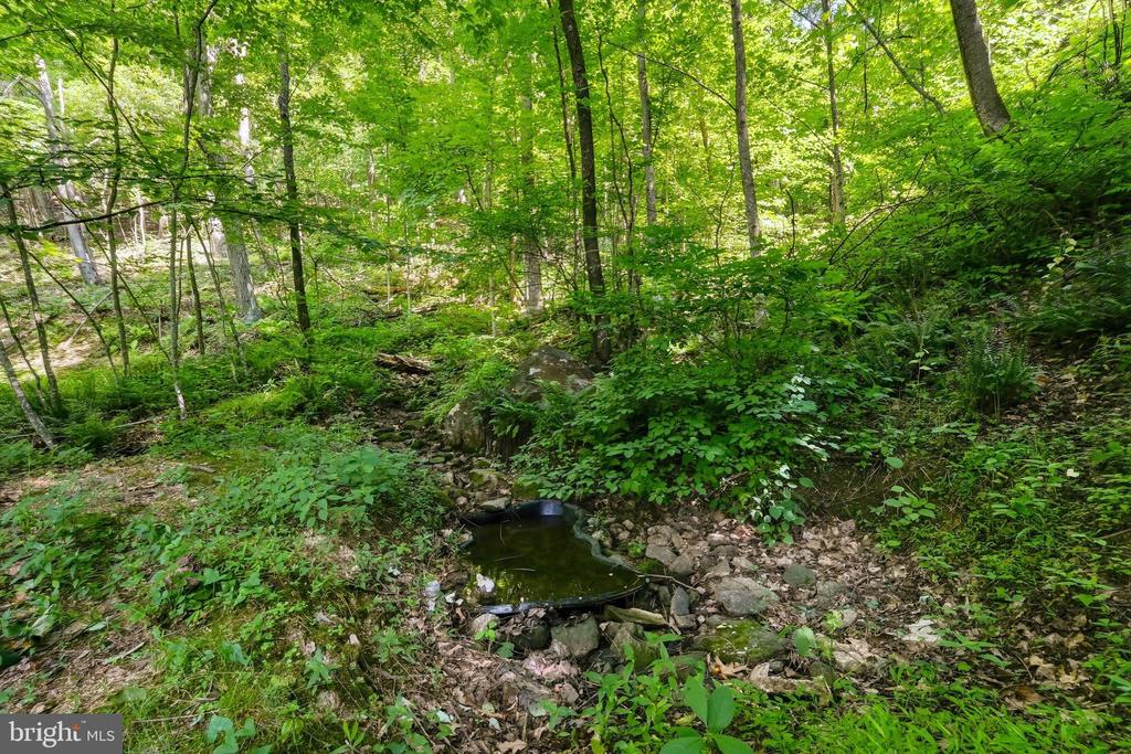 2411 QUAKER RUN RD, BANCO, Virginia 22711, 3 Bedrooms Bedrooms, ,3 BathroomsBathrooms,Residential,2411 QUAKER RUN RD,VAMA2002816 MLS # VAMA2002816 2411 QUAKER RUN RD, BANCO, Virginia 22711, 3 Bedrooms Bedrooms, ,3 BathroomsBathrooms,Residential,2411 QUAKER RUN RD,VAMA2002816 MLS # VAMA2002816