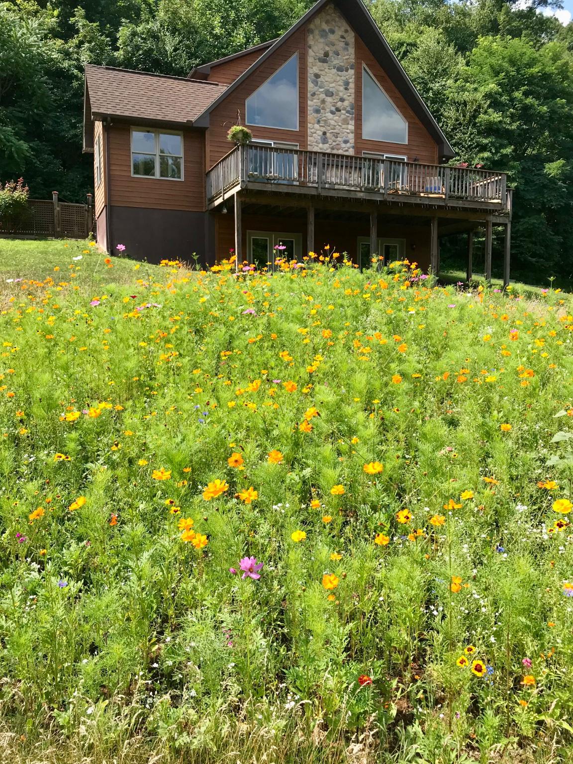 2411 QUAKER RUN RD, BANCO, Virginia 22711, 3 Bedrooms Bedrooms, ,3 BathroomsBathrooms,Residential,2411 QUAKER RUN RD,VAMA2002816 MLS # VAMA2002816 2411 QUAKER RUN RD, BANCO, Virginia 22711, 3 Bedrooms Bedrooms, ,3 BathroomsBathrooms,Residential,2411 QUAKER RUN RD,VAMA2002816 MLS # VAMA2002816