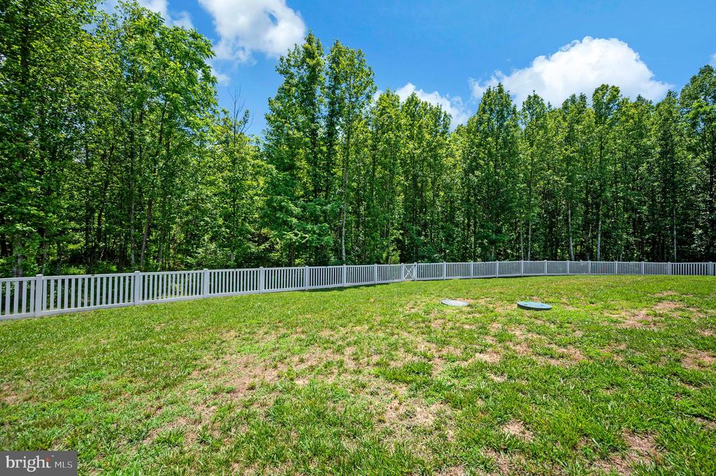 45 CIMARRON CT, LOUISA, Virginia 23093, 3 Bedrooms Bedrooms, ,2 BathroomsBathrooms,Residential,45 CIMARRON CT,VALA2010000 MLS # VALA2010000