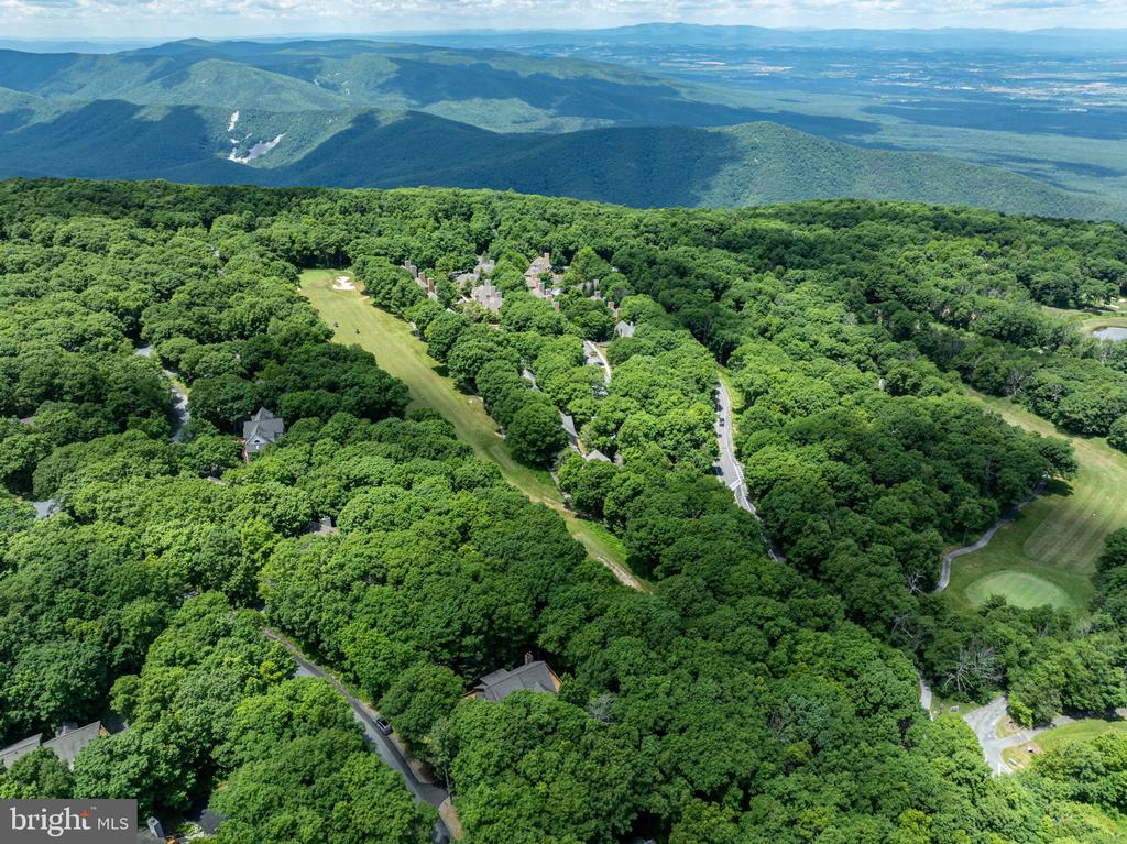 75 N FOREST DR, Virginia 22967, 4 Bedrooms Bedrooms, ,3 BathroomsBathrooms,Residential,75 N FOREST DR,VANL2000690 MLS # VANL2000690 75 N FOREST DR, Virginia 22967, 4 Bedrooms Bedrooms, ,3 BathroomsBathrooms,Residential,75 N FOREST DR,VANL2000690 MLS # VANL2000690