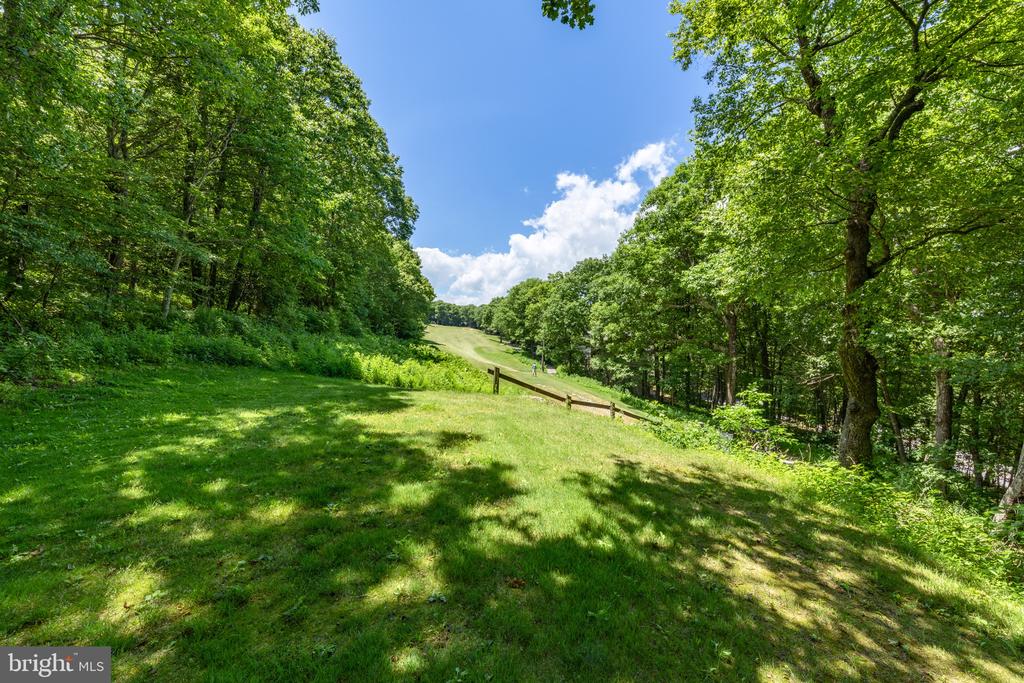 75 N FOREST DR, Virginia 22967, 4 Bedrooms Bedrooms, ,3 BathroomsBathrooms,Residential,75 N FOREST DR,VANL2000690 MLS # VANL2000690 75 N FOREST DR, Virginia 22967, 4 Bedrooms Bedrooms, ,3 BathroomsBathrooms,Residential,75 N FOREST DR,VANL2000690 MLS # VANL2000690