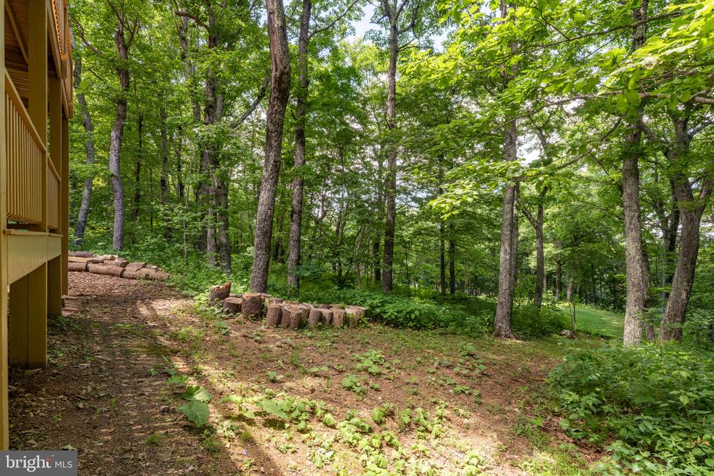 75 N FOREST DR, Virginia 22967, 4 Bedrooms Bedrooms, ,3 BathroomsBathrooms,Residential,75 N FOREST DR,VANL2000690 MLS # VANL2000690 75 N FOREST DR, Virginia 22967, 4 Bedrooms Bedrooms, ,3 BathroomsBathrooms,Residential,75 N FOREST DR,VANL2000690 MLS # VANL2000690