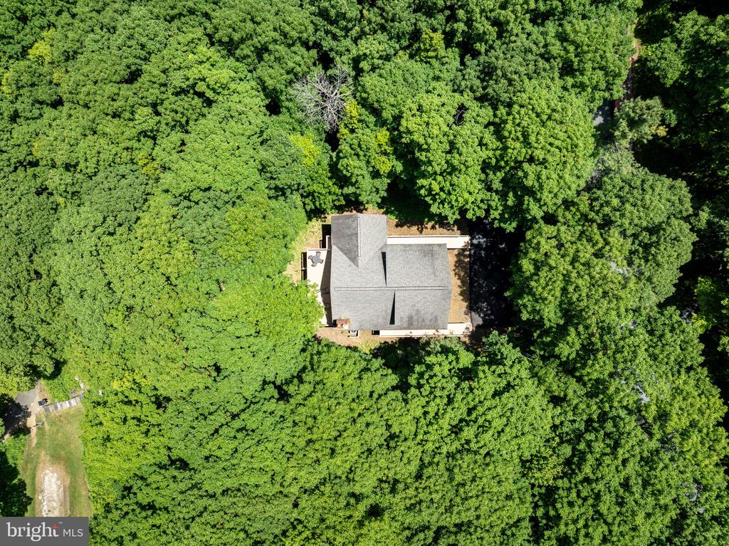 75 N FOREST DR, Virginia 22967, 4 Bedrooms Bedrooms, ,3 BathroomsBathrooms,Residential,75 N FOREST DR,VANL2000690 MLS # VANL2000690 75 N FOREST DR, Virginia 22967, 4 Bedrooms Bedrooms, ,3 BathroomsBathrooms,Residential,75 N FOREST DR,VANL2000690 MLS # VANL2000690