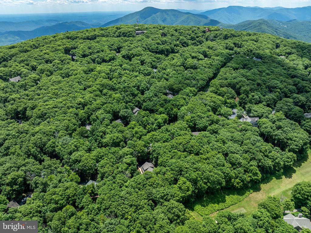 75 N FOREST DR, Virginia 22967, 4 Bedrooms Bedrooms, ,3 BathroomsBathrooms,Residential,75 N FOREST DR,VANL2000690 MLS # VANL2000690 75 N FOREST DR, Virginia 22967, 4 Bedrooms Bedrooms, ,3 BathroomsBathrooms,Residential,75 N FOREST DR,VANL2000690 MLS # VANL2000690