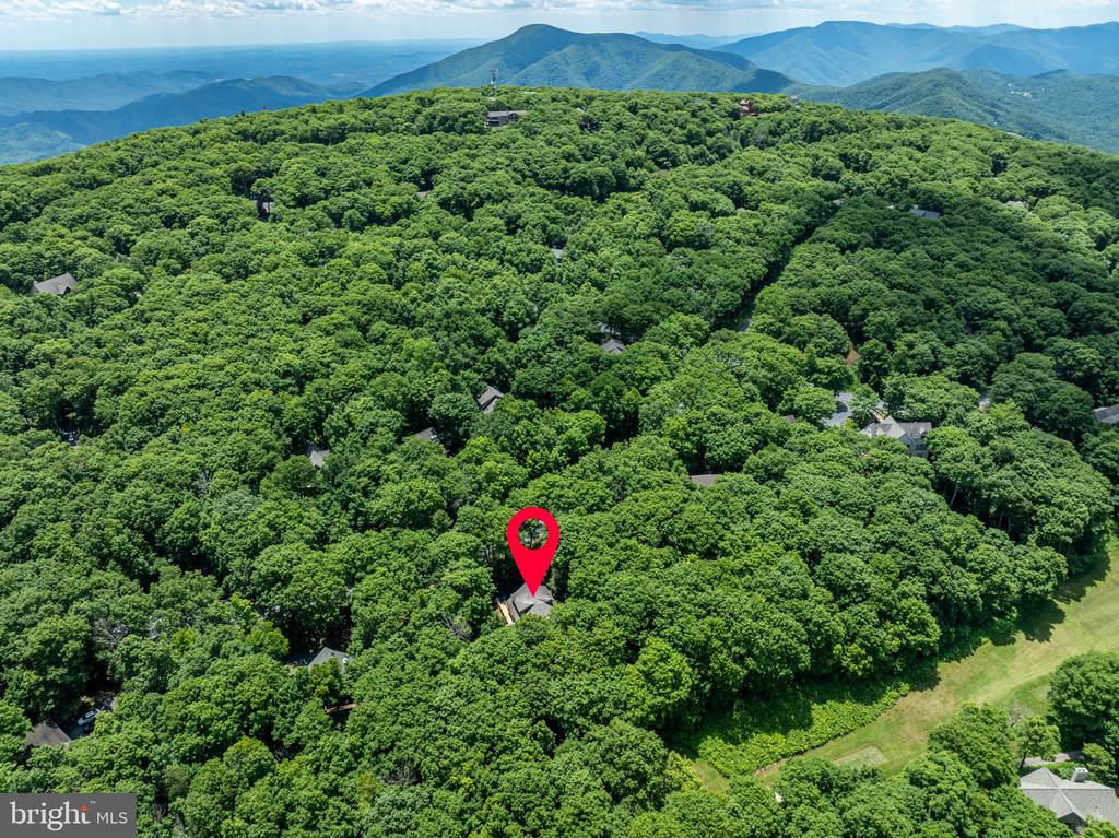 75 N FOREST DR, Virginia 22967, 4 Bedrooms Bedrooms, ,3 BathroomsBathrooms,Residential,75 N FOREST DR,VANL2000690 MLS # VANL2000690 75 N FOREST DR, Virginia 22967, 4 Bedrooms Bedrooms, ,3 BathroomsBathrooms,Residential,75 N FOREST DR,VANL2000690 MLS # VANL2000690
