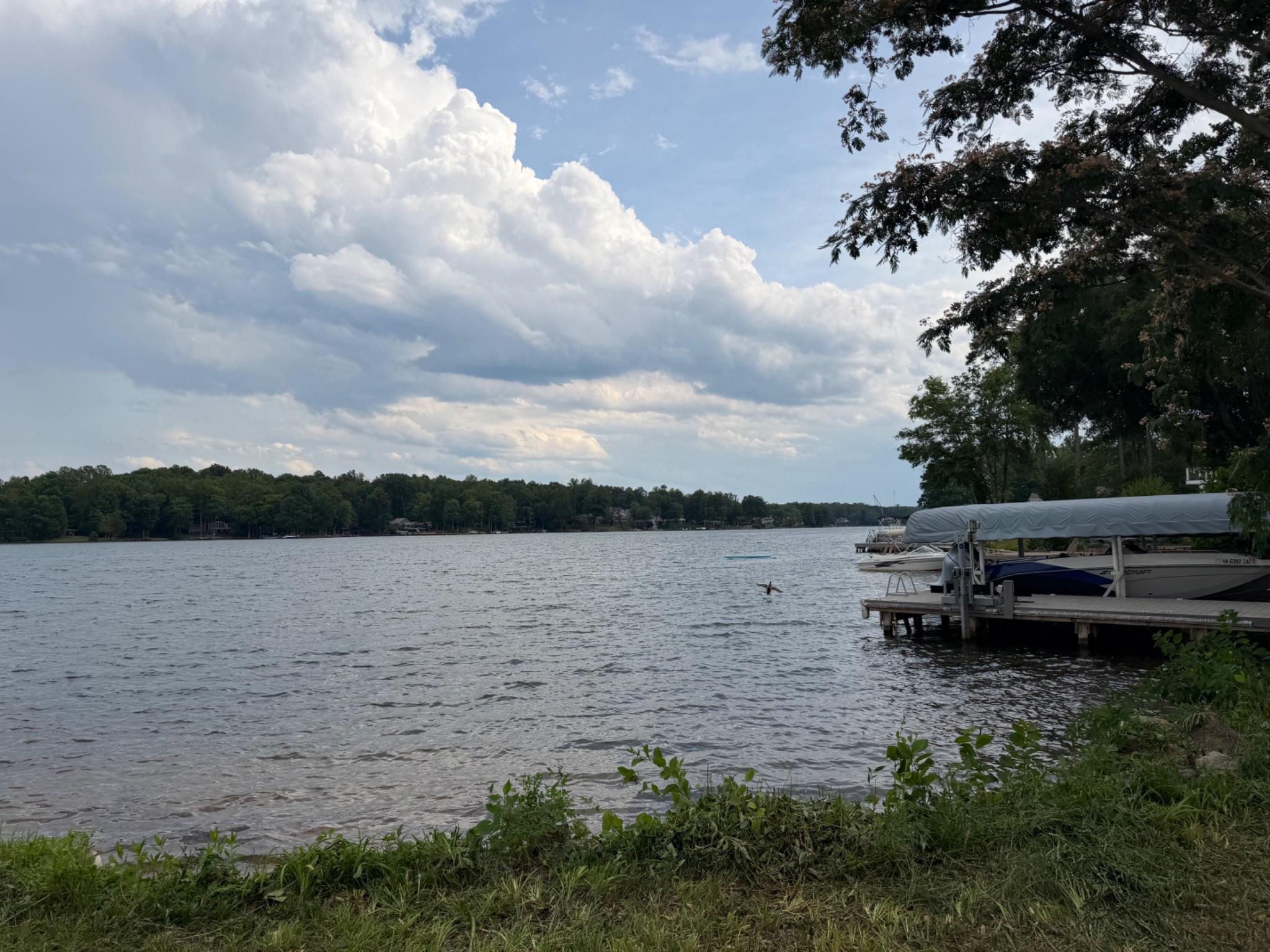 100 FLAT RUN, LOCUST GROVE, Virginia 22508, ,Land,100 FLAT RUN,VAOR2014530 MLS # VAOR2014530 100 FLAT RUN, LOCUST GROVE, Virginia 22508, ,Land,100 FLAT RUN,VAOR2014530 MLS # VAOR2014530
