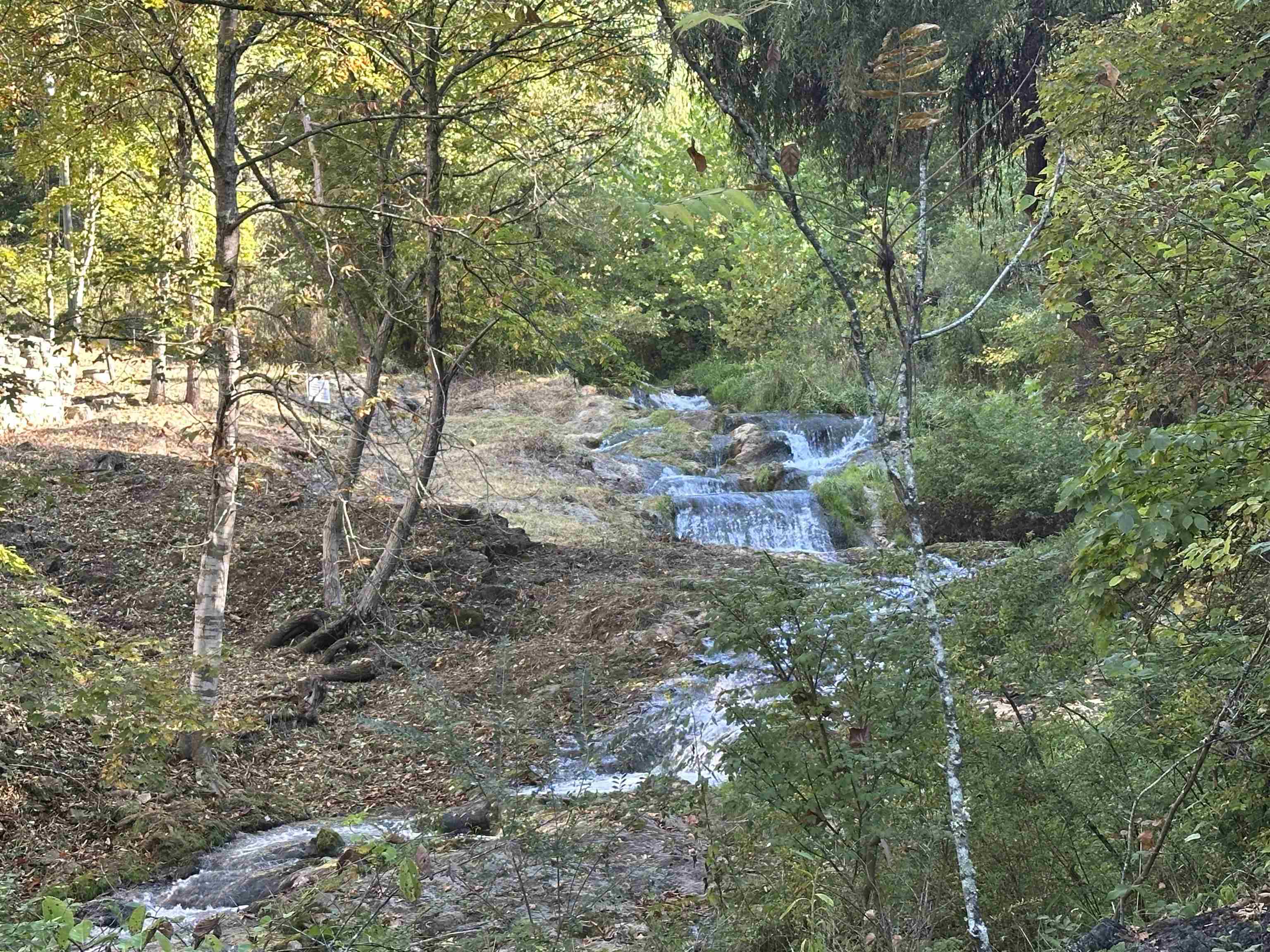 6602 MIDDLEBROOK RD, RAPHINE, Virginia 24459, 3 Bedrooms Bedrooms, ,2 BathroomsBathrooms,Residential,Moffatts Creek Mill,6602 MIDDLEBROOK RD,678692 MLS # 678692 6602 MIDDLEBROOK RD, RAPHINE, Virginia 24459, 3 Bedrooms Bedrooms, ,2 BathroomsBathrooms,Residential,Moffatts Creek Mill,6602 MIDDLEBROOK RD,678692 MLS # 678692