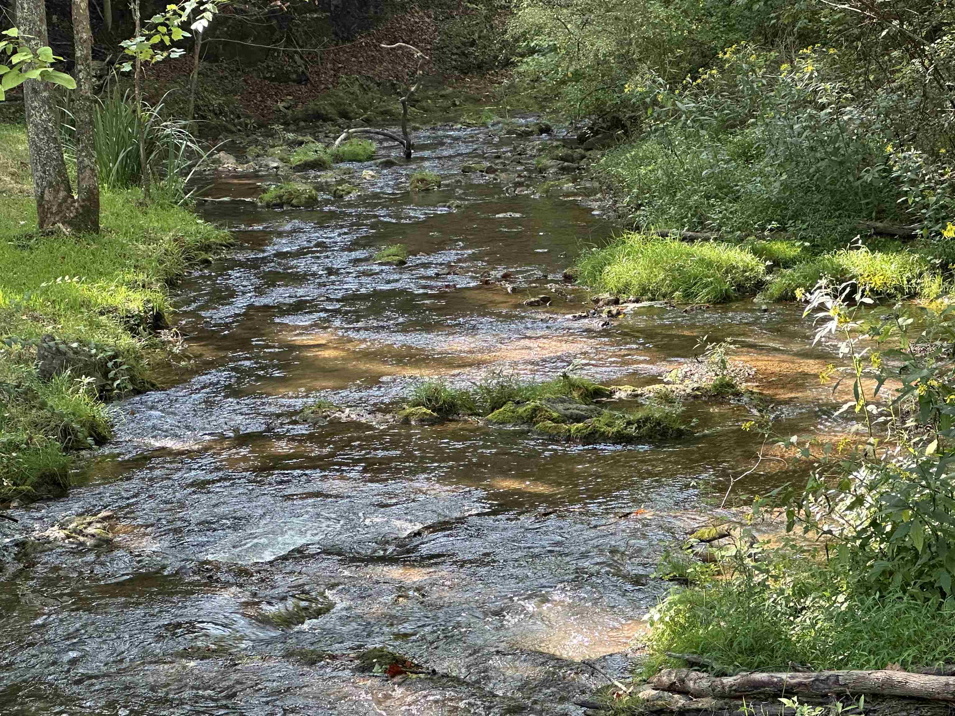 6602 MIDDLEBROOK RD, RAPHINE, Virginia 24459, 3 Bedrooms Bedrooms, ,2 BathroomsBathrooms,Residential,Moffatts Creek Mill,6602 MIDDLEBROOK RD,678692 MLS # 678692 6602 MIDDLEBROOK RD, RAPHINE, Virginia 24459, 3 Bedrooms Bedrooms, ,2 BathroomsBathrooms,Residential,Moffatts Creek Mill,6602 MIDDLEBROOK RD,678692 MLS # 678692