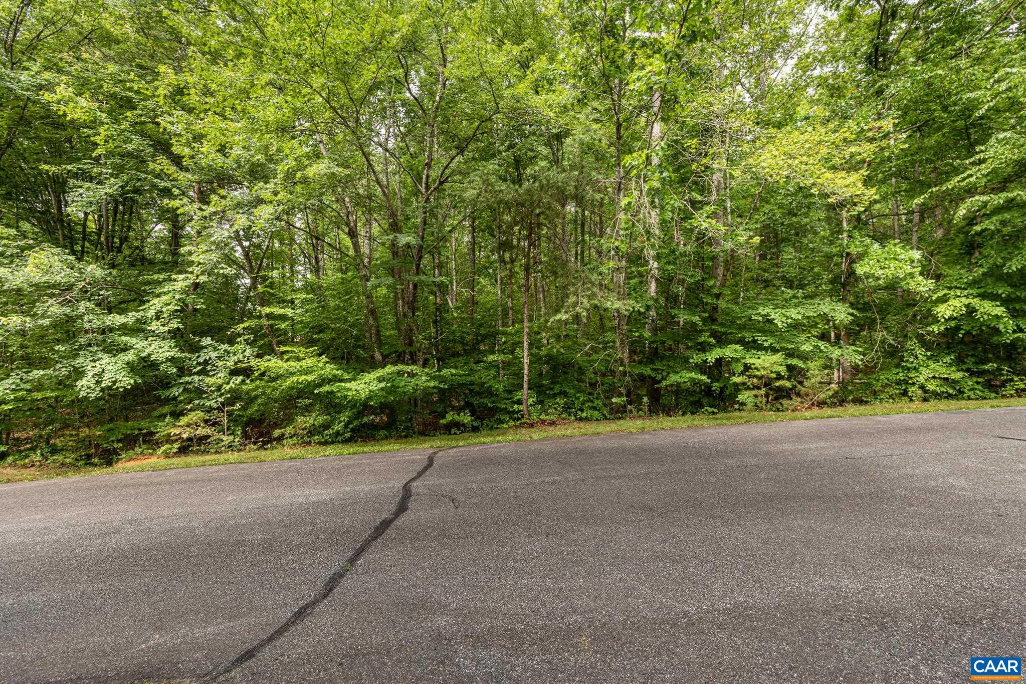 45 GLEN EAGLES DR, GORDONSVILLE, Virginia 22942, ,Land,45 GLEN EAGLES DR,678699 MLS # 678699